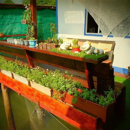 Dutchman Homestay Ko Kut Esterno foto